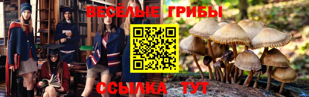 Куйбышев  Псилоцибиновые грибы прущие грибы  Вход с VPN 