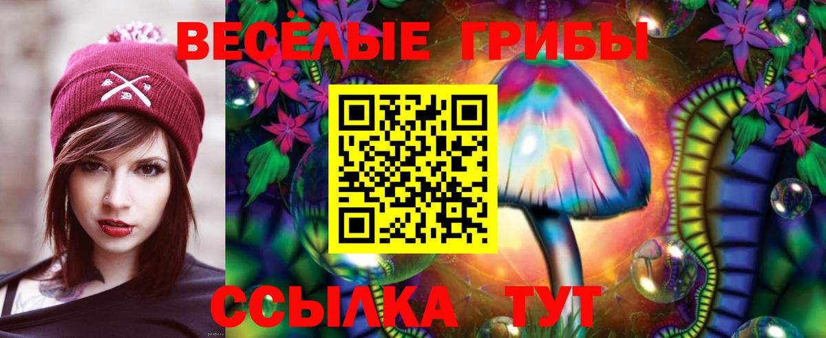 Галлюциногенные грибы GOLDEN TEACHER Куйбышев